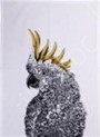 Digital Printed Kitchen Towel Stock Offer # 3242