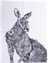 Digital Printed Kitchen Towel Stock Offer # 3242