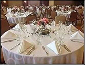 Offer# 3002 Cotton Solid Dyed Napkin Set of 6 Stock